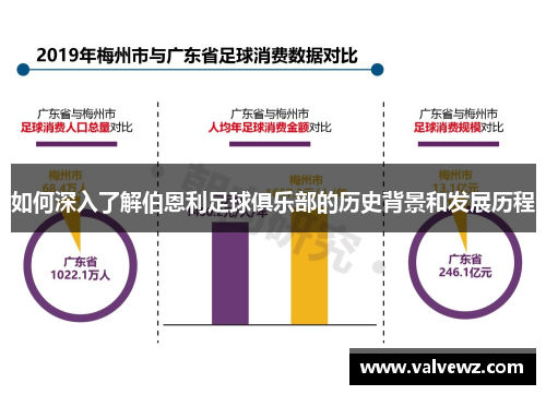 如何深入了解伯恩利足球俱乐部的历史背景和发展历程